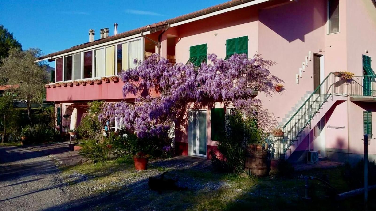 La Casa Rosa Hotel Borghetto di Vara Ngoại thất bức ảnh